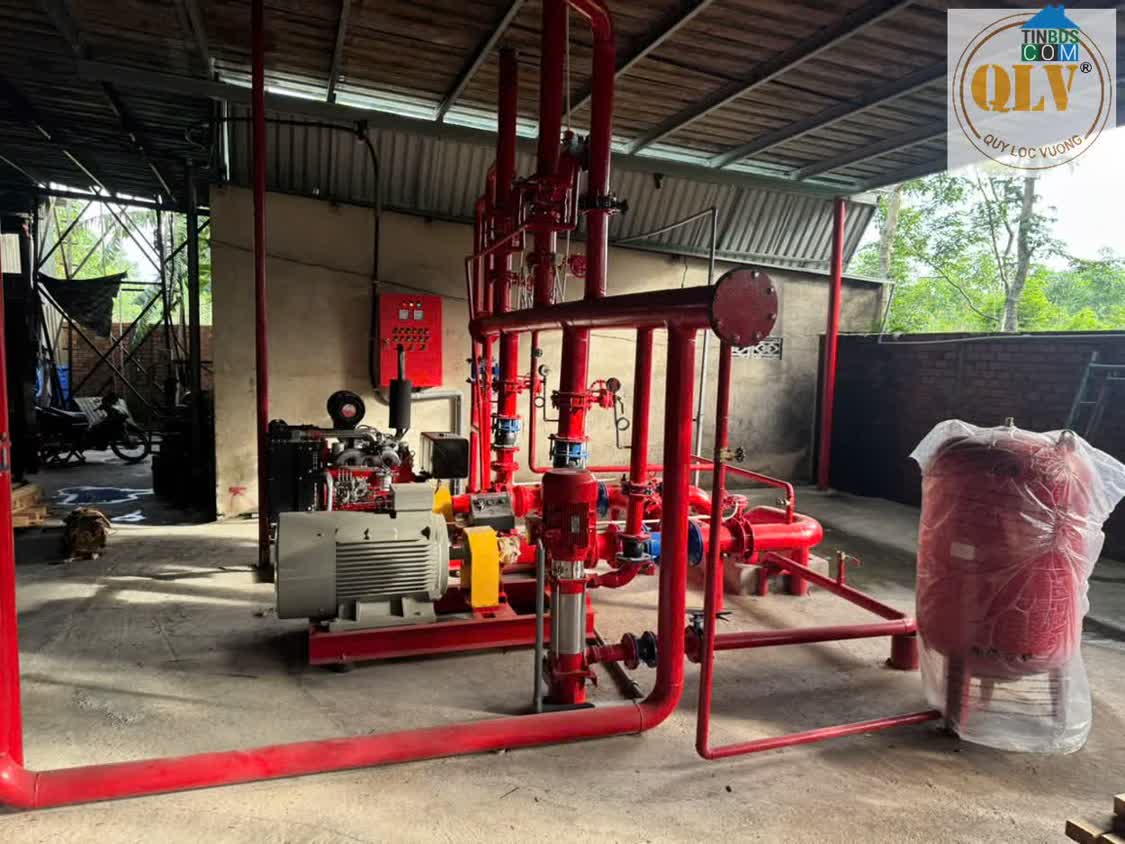 Ảnh Cho Thuê Xưởng Gỗ – Phú Giáo, Bình Dương – 10.000m² 3