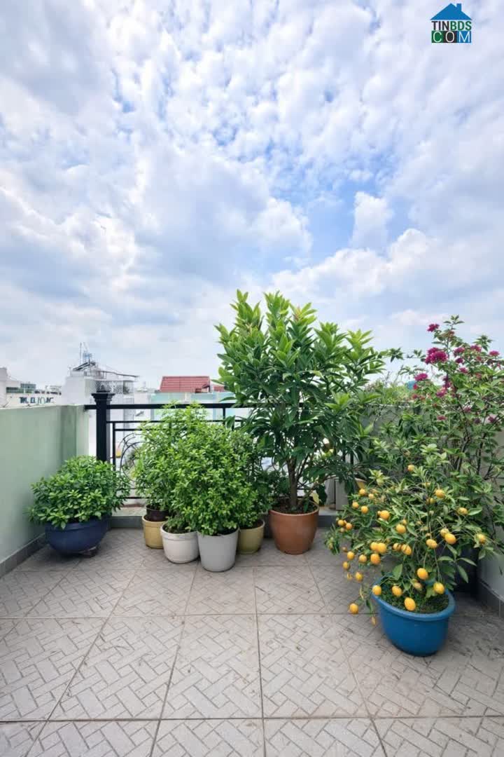 Ảnh Mặt Tiền Đường 5M Giáp Tân Phú 24M2 5 Tầng BTCT Sân Thượng Chỉ 4.16 Tỷ 6