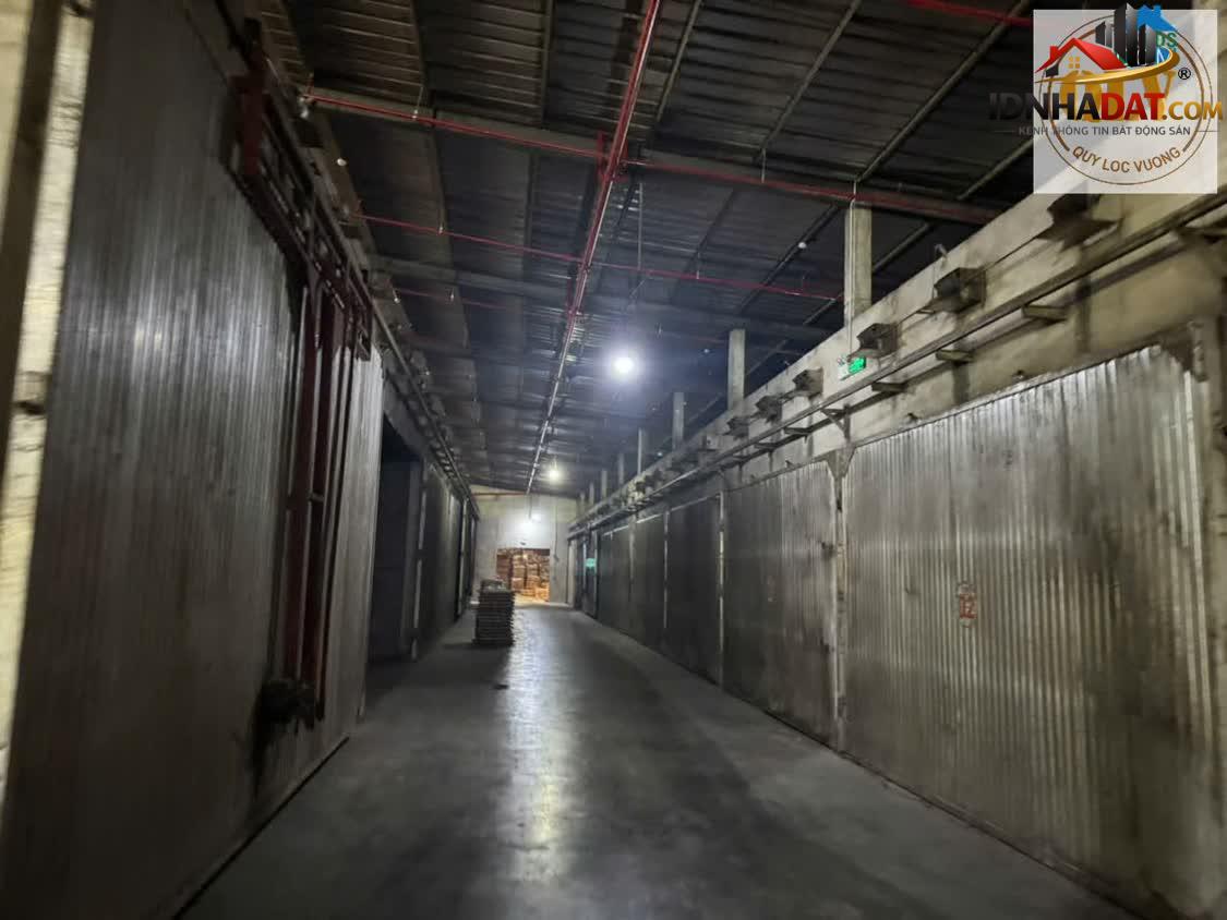 Ảnh Cho Thuê Xưởng Gỗ – Phú Giáo, Bình Dương – 10.000m² 0