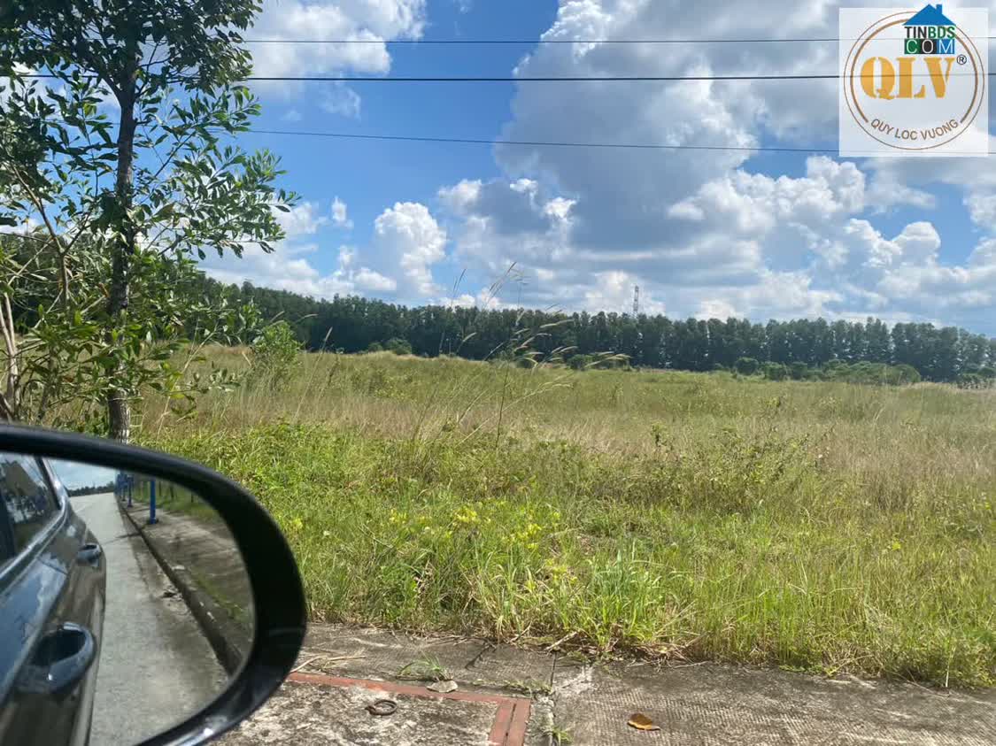 Ảnh Bán Đất Khu Công Nghiệp KCN Bàu Bàng 52.071m² 4