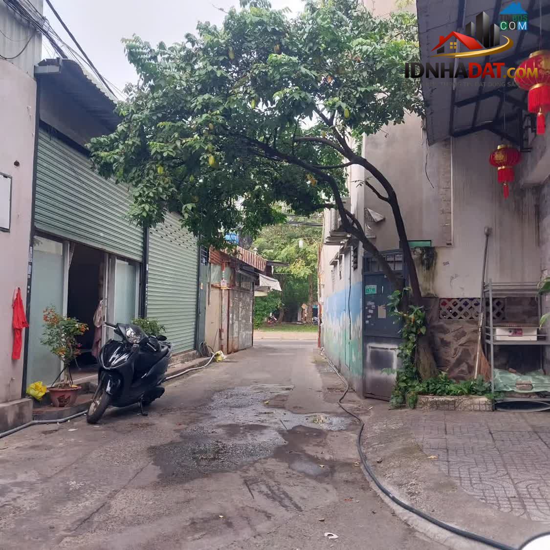 Ảnh Bán Nhà Vị Trí Đẹp, Xe Hơi Đỗ Cửa, 2 Tầng, Ngay Lưu Chí Hiếu, Tây Thạnh, Tân Phú 1