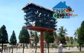 Ảnh Bán quỹ đất siêu vị trí Lê Văn Quới P. Bình Hưng Hòa A, Quận Bình Tân 2