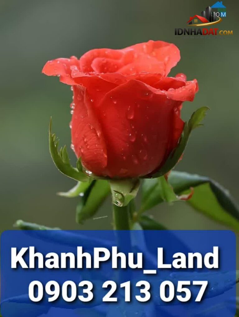 Chủ Bán Gấp – Nhà Đẹp 5 Tầng Chỉ 5.95 Tỷ – Phú Thọ Hòa, Tân Phú