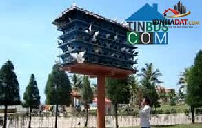 Ảnh Bán Nhà Miếu Gò Xoài Bình Tân - Hẻm Nhựa 5M Thông Thoáng - 4 Tầng - Nhà Mới Ở Ngay - Chỉ Nhỉnh 4tỷ 2