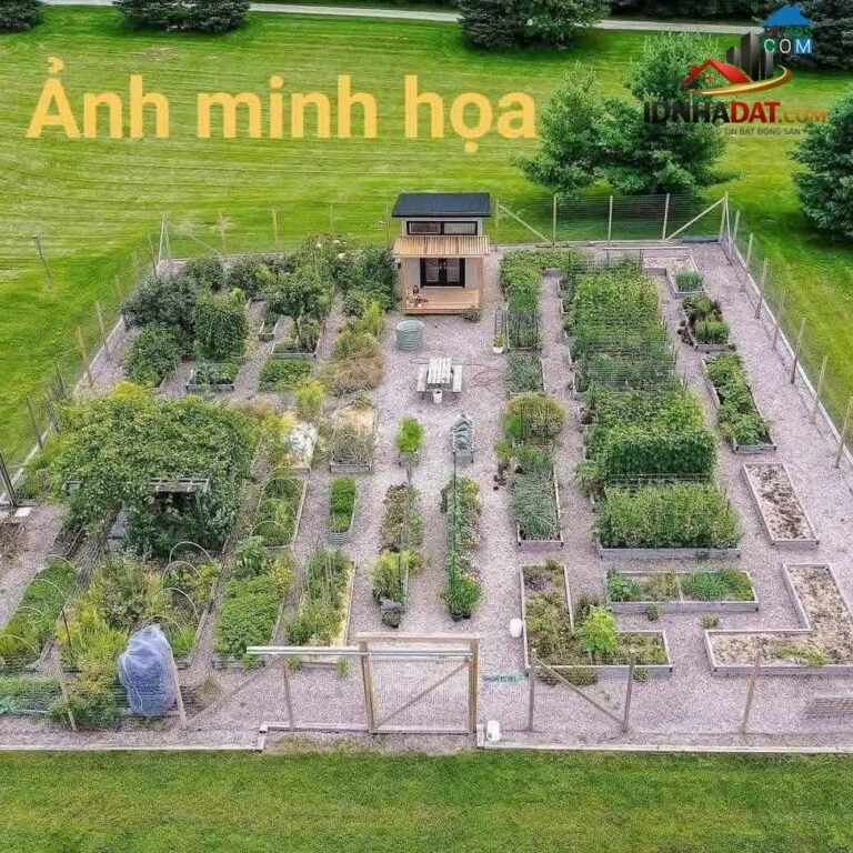Sở hữu ngay nhà riêng tuyệt đẹp tại Liên Chiểu, Đà Nẵng, diện tích 154m2, giá chỉ 1.6 tỷ.