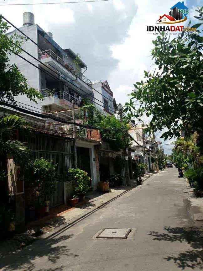 Ảnh SIÊU PHẨM CHDV - THOẠI NGỌC HẦU