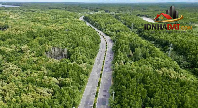 TP.HCM Quyết Định Nâng Cấp Đường Rừng Sác: 10 Làn Xe, Đầu Tư Hơn 19.000 Tỷ Đồng!