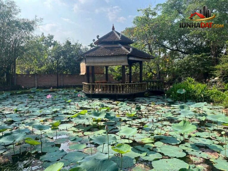 Siêu phẩm đất nhà vườn – mặt tiền sông Đồng Nai chỉ 10 triệu/m2 Long Phước, Thủ Đức