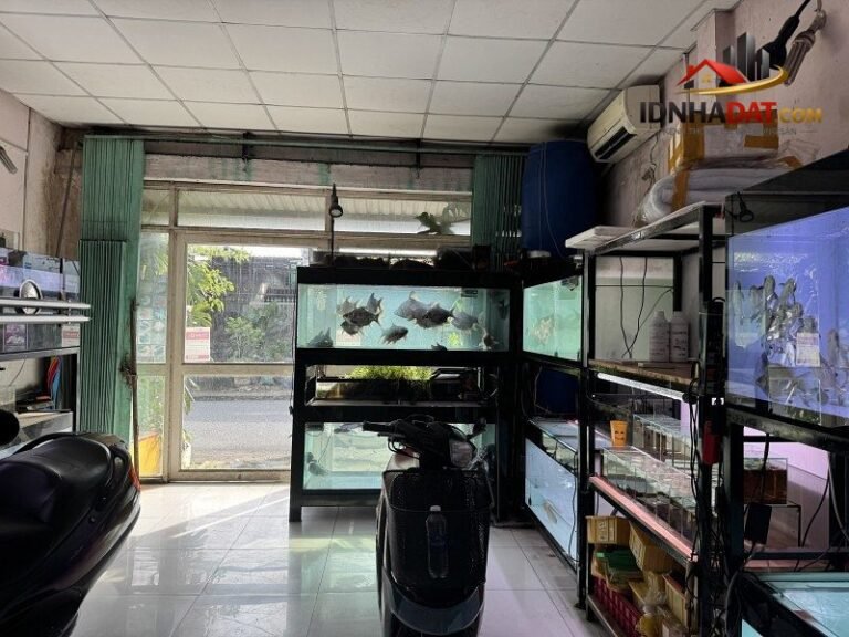 Bán nhà mặt tiền đường số 9, phường Linh Xuân, Thủ Đức, TP HCM