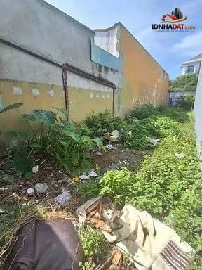 Liền kề Phú Mỹ Hưng Quận 7 – Đất rồng 112.5m2 full thổ cư – Khu hiện hữu tiện xây mới – Bán đất – Quận 7 – TP Hồ Chí Minh – Diện tích 112.5m2 – Giá 7.35 tỷ