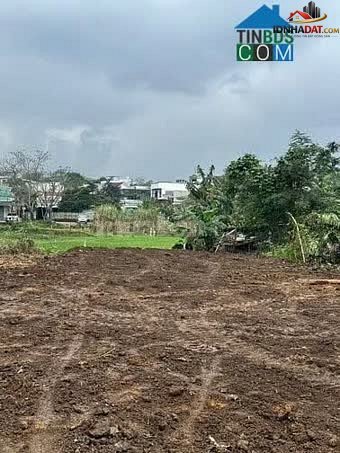 Bán đất Phường Hòa Thọ Tây Quận Cẩm Lệ Thành Phố Đà Nẵng, Diện Tích 204 m², Giá 4,1 Tỷ