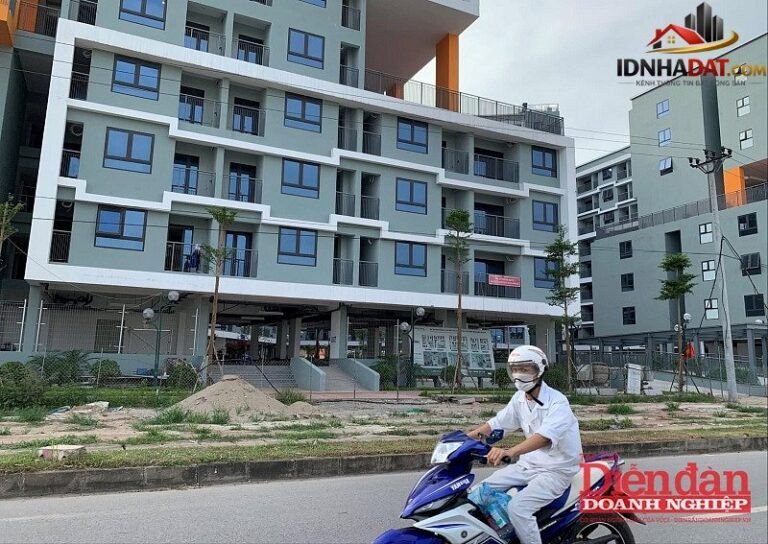 Siết Quy Trình Mua Nhà Ở Xã Hội: Bước Tiến Đem Lại Minh Bạch