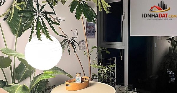 Căn hộ 120m2 của blogger ẩm thực Ka Ka: Không gian sống nghệ thuật và đầy tính sáng tạo