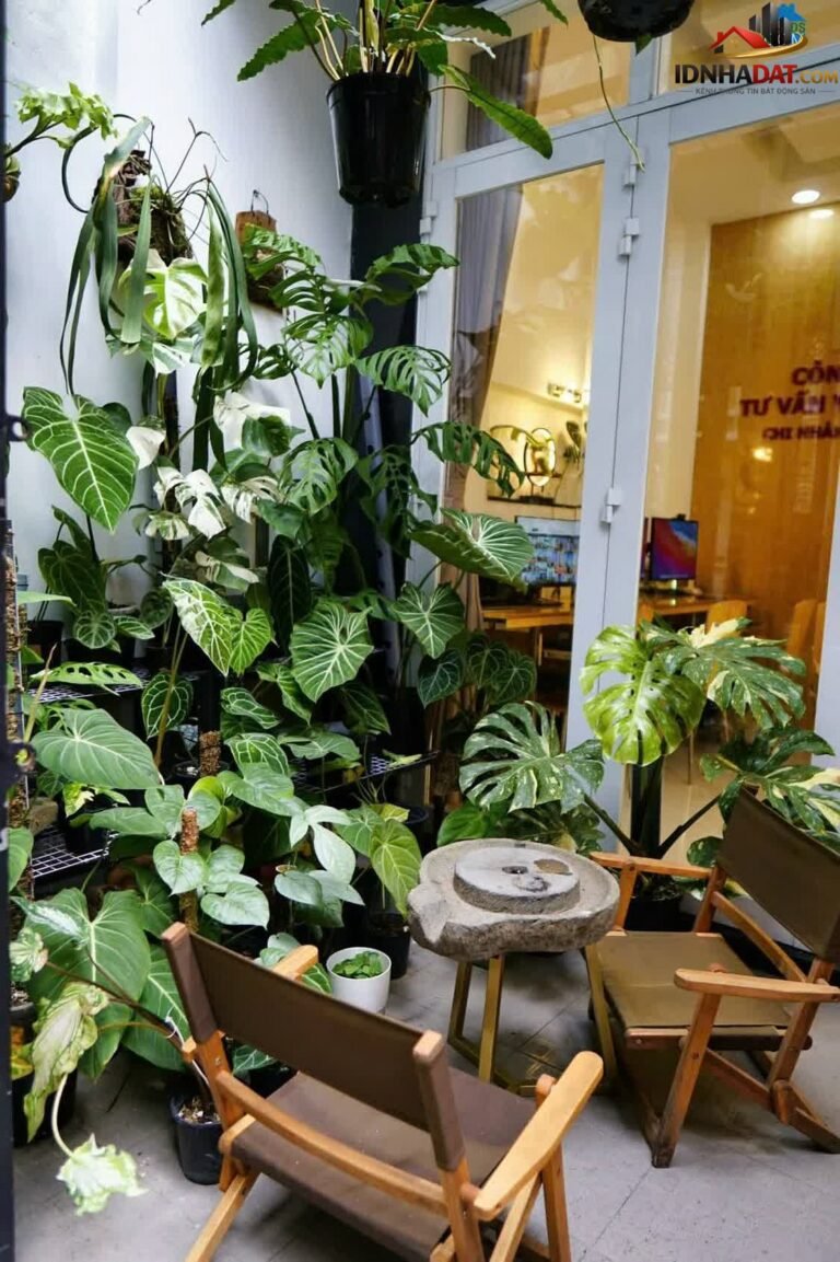 Bán nhà đất Đường Nguyễn Trường Tộ – Phường cũ Phú Nhuận Quận Phú Nhuận – Thành phố Hồ Chí Minh 44 m² 9.85 tỷ