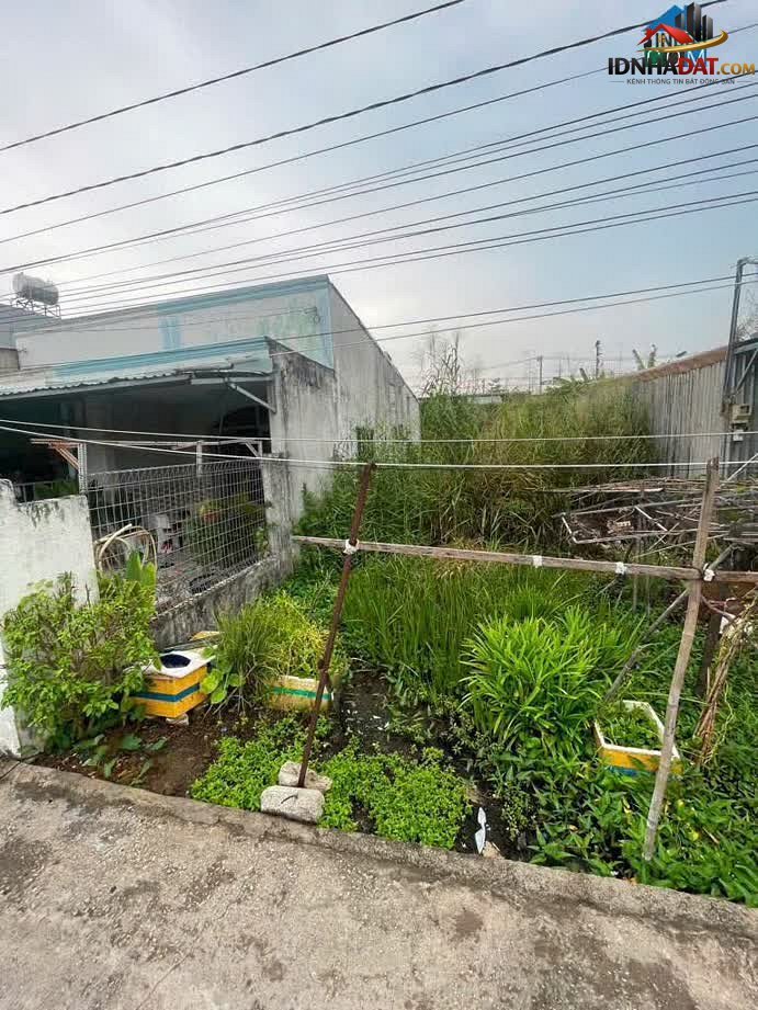Lô Đất Đẹp Đường Nguyễn Văn Tạo – Huyện Nhà Bè – Thành phố Hồ Chí Minh 138 m² 2.5 tỷ