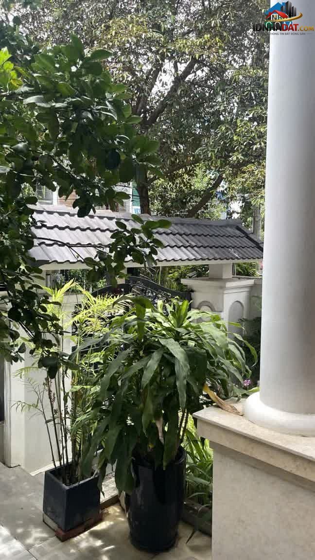 Bán nhà đất Đường Nguyễn Đỗ Mục – Phường cũ Khuê Trung Quận Cẩm Lệ – Thành phố Đà Nẵng 190 m² 13500000000