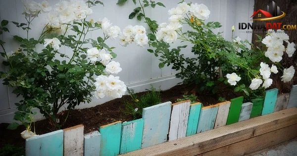 Tuyệt Chiêu Biến Sân Vườn Trở Nên Ấn Tượng