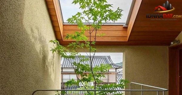 Giếng trời: Giải pháp tuyệt vời cho căn nhà sáng thoáng