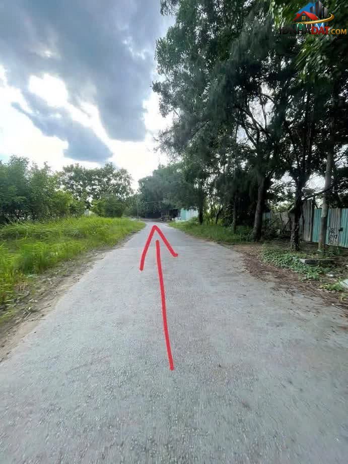 Bán đất Đường Lê Văn Lương – Phường cũ Nhơn Đức Huyện Nhà Bè – Thành phố Hồ Chí Minh 2230 m² 4.5 tỷ