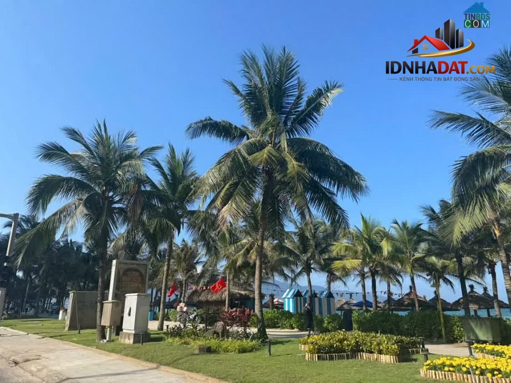 Cơ hội sở hữu nhà mặt phố 4 tầng tại Hải Châu, Đà Nẵng, diện tích 65m² giá chỉ 6.2 tỷ