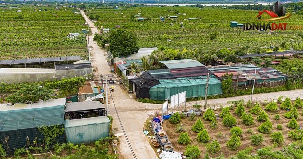 Phân Tích Thị Trường Bất Động Sản Dự Án Trục Đại Lộ Cảnh Quan Sông Hồng