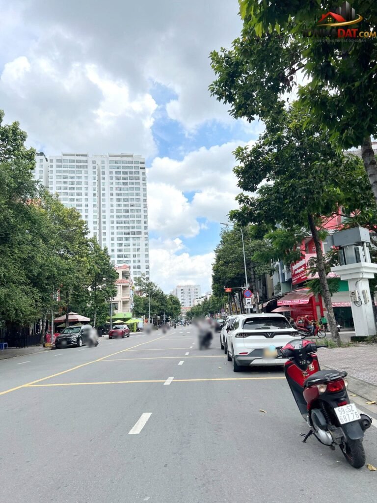 Nhà 4 tầng 2 mặt tiền vip đường Dương Quang Đông Phường 5 Quận 8 Thành Phố Hồ Chí Minh – Diện tích 93m2 – Giá 24 tỷ