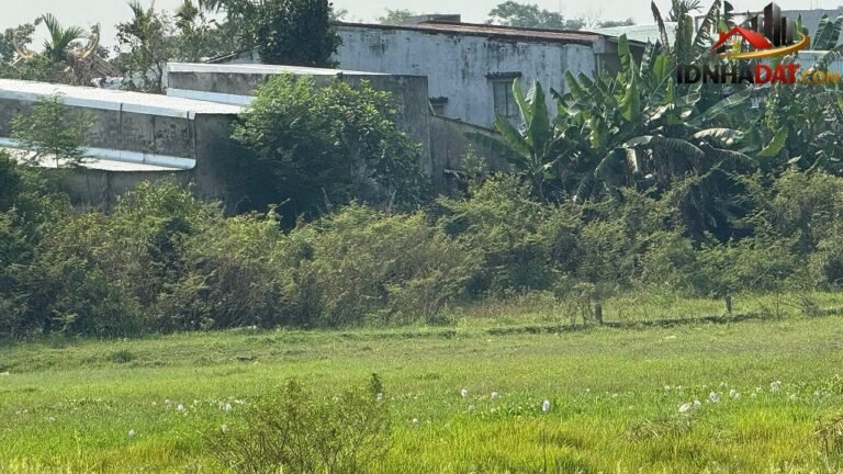 Bán đất đẹp view cánh đồng Quan Châu Hòa Xuân Đà Nẵng – 10000m2 – 10,5 tỷ