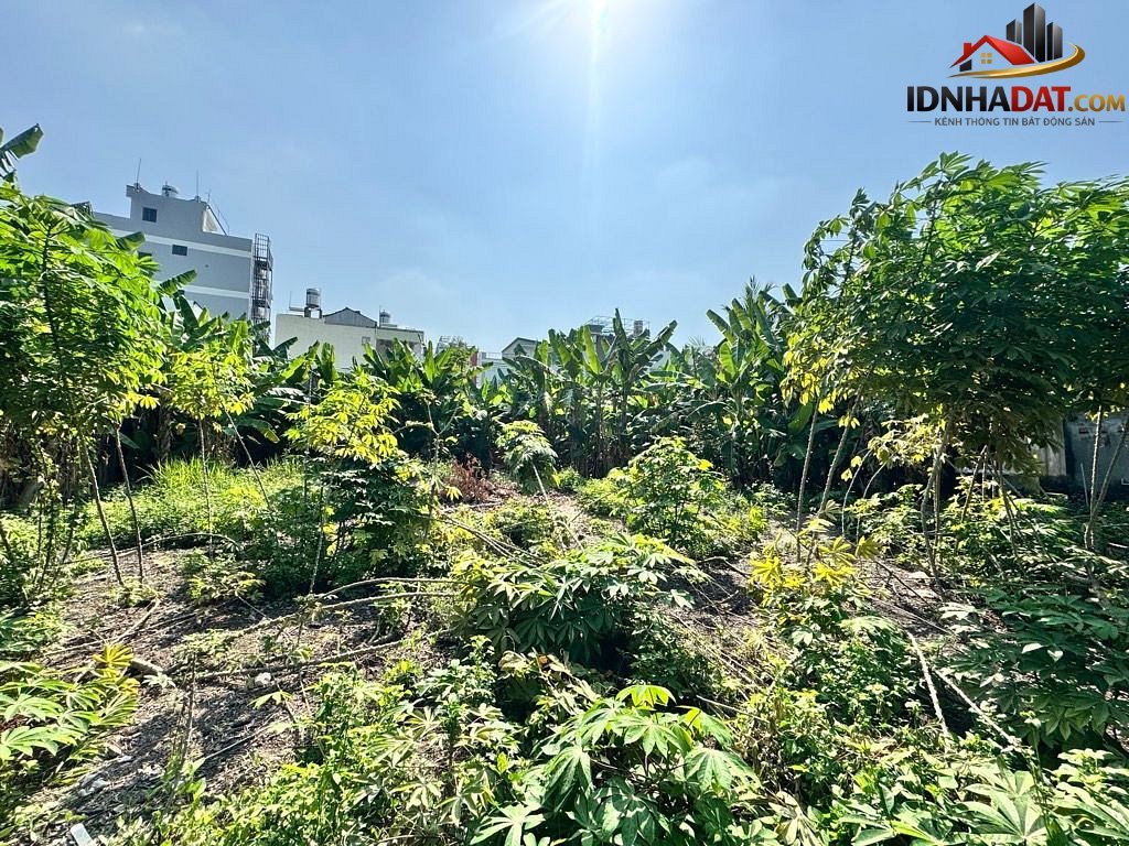 Bán gấp, đất bưng ông thoàn, long trường q9, 2100m2, giá 82 tỷ – Bán nhà đất Đường Bưng Ông Thoàn – Phường cũ Long Trường Quận 9 – Phường mới Long Trường – Thành phố Hồ Chí Minh