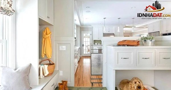 Cách giữ gìn và trang trí nhà sạch sẽ, đẹp mắt khi có thú cưng