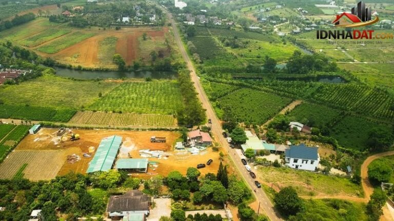 Tiến Độ Hai Dự Án Cao Tốc Tân Phú – Bảo Lộc và Bảo Lộc – Liên Khương Đến Năm 2026