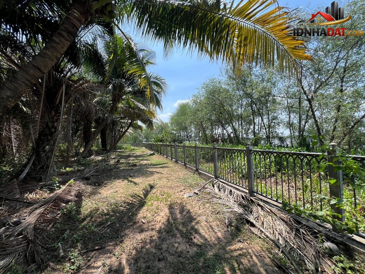 Đất ven sông soài rạp đường D8 – Phường Long Phước Quận Thủ Đức – Thành phố Hồ Chí Minh 45000m2 999 tỷ