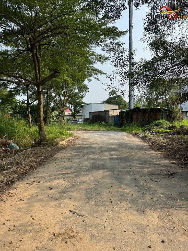 Đất đẹp đường 15B – Phường cũ Bến Nghé Quận 1 – Phường mới Bến Nghé – Thành phố Hồ Chí Minh 82.5m2 4 tỷ
