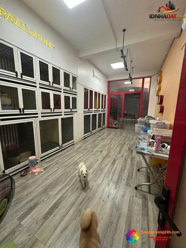Chỉ 180 triệu sở hữu ngay pet shop full setup quận tân phú – Đường Tân Sơn Nhì – Phường cũ Phú Thọ Hòa – Phường mới Phú Thọ Hòa – Thành phố Hồ Chí Minh – Diện tích 242m2