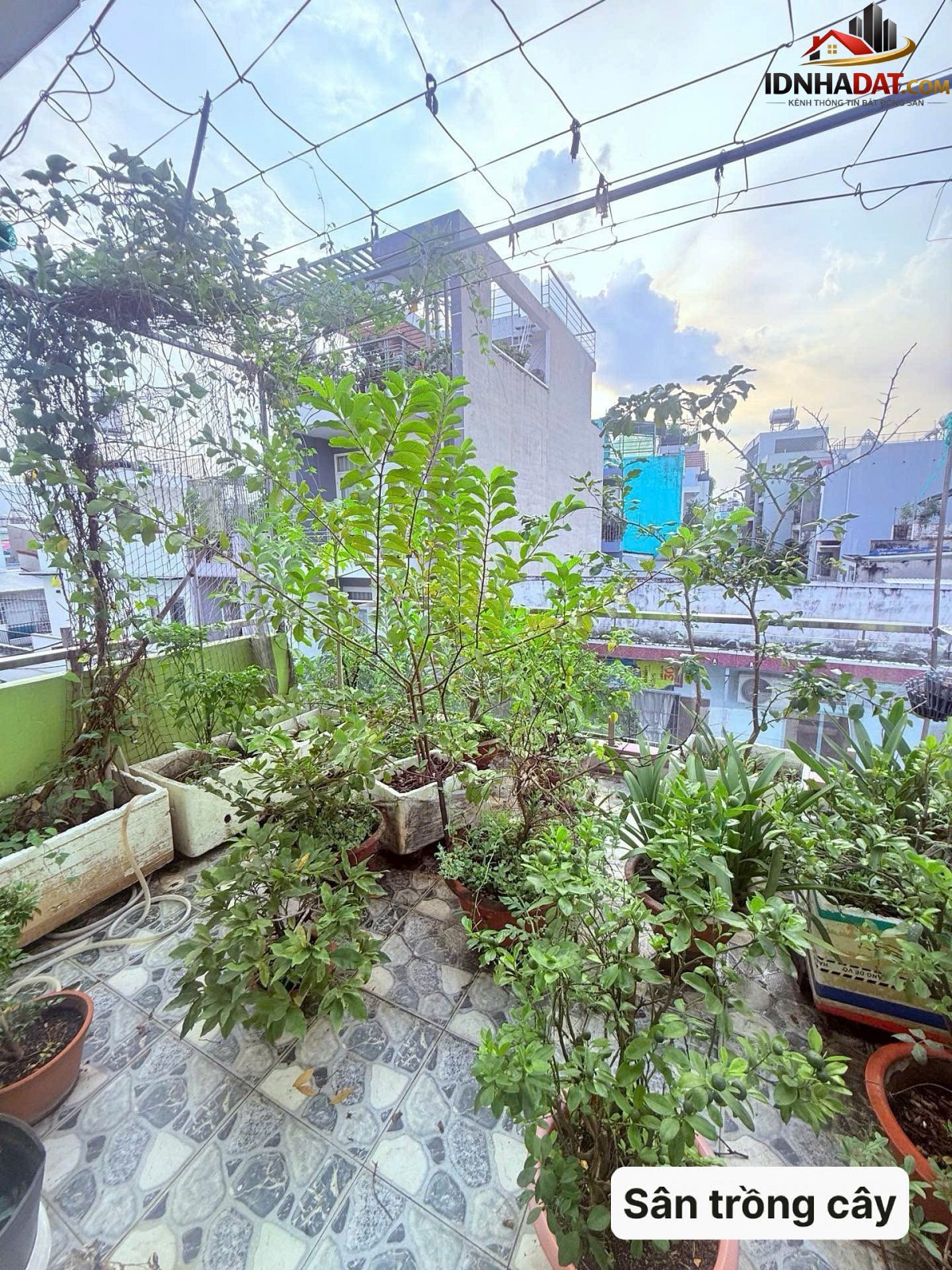 Bán nhà đất Đường Phú Thọ Hòa – Phường cũ Phú Thọ Hòa Quận Tân Phú – Phường mới Phú Thọ Hòa – Thành phố Hồ Chí Minh 60m2 6.7 tỷ