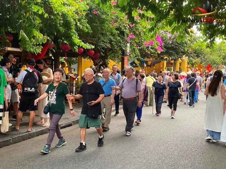 Thị Trường Du Lịch Việt Nam 2026: Đón 12,3 Triệu Lượt Khách Quốc Tế Giữa Bối Cảnh Tăng Trưởng Mạnh Mẽ