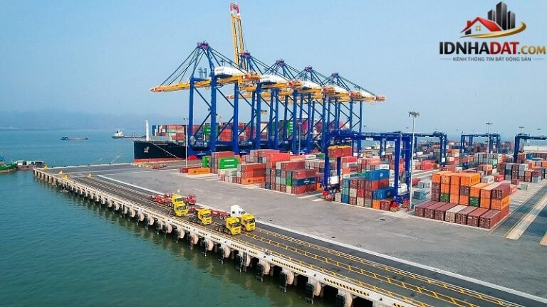 Phân Tích Thị Trường Xuất Nhập Khẩu Nửa Đầu Năm 2026: Xu Hướng và Dự Đoán Đến 2027