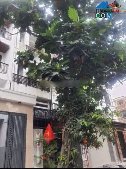 Bán nhà đất Đường Cư xá Phú Lâm D – Phường cũ 10 Quận 6 – Thành phố Hồ Chí Minh Diện tích 72 m² – Giá 11 tỷ