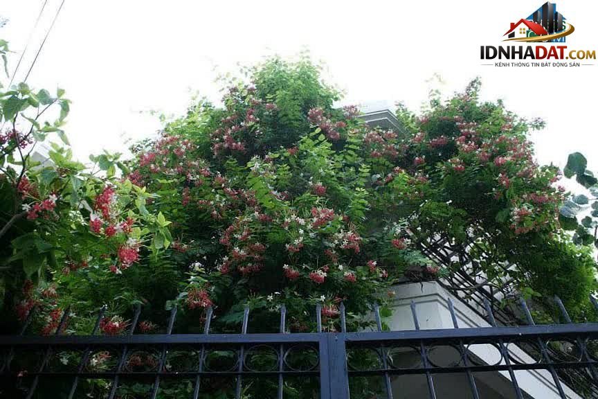 Bán nhà đất Đường số 4 – Phường cũ 16 Quận Gò Vấp – Thành phố Hồ Chí Minh 120 m² 14 tỷ