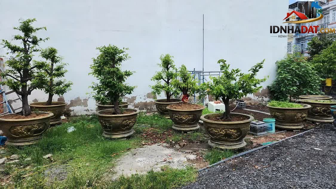 Bán đất Đường Thạnh Xuân 22 – Phường cũ Thới An Quận 12 – Thành phố Hồ Chí Minh 1200m² 45000000