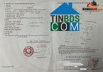 Bán nhà đất Đường Nguyễn Trọng Tuyến – Phường cũ 2 Quận Tân Bình – Thành phố Hồ Chí Minh 159 m² 16.6 tỷ