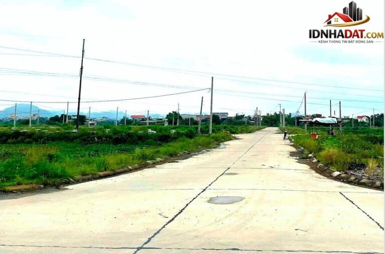 Ninh Bình: Xu hướng thu hồi đất và đấu giá quyền sử dụng đất đến 2026