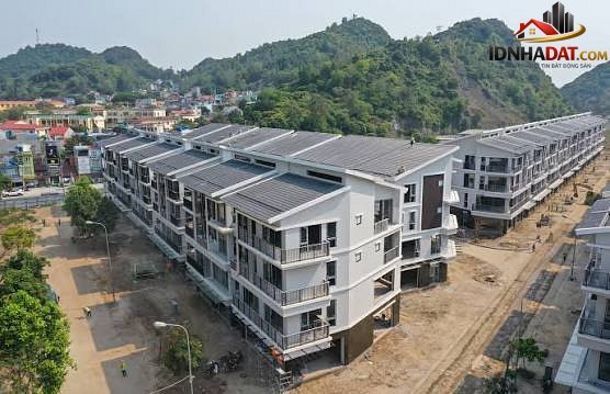 Phân Tích Thị Trường Bất Động Sản Hải Phòng 2026: Cát Bà Amatina và Những Thách Thức Đang Đối Diện