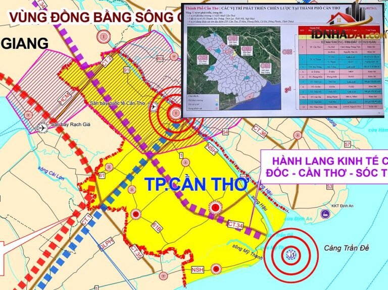 Cần Thơ và Xu Hướng Mở Rộng Hệ Thống Siêu Thị Năm 2026