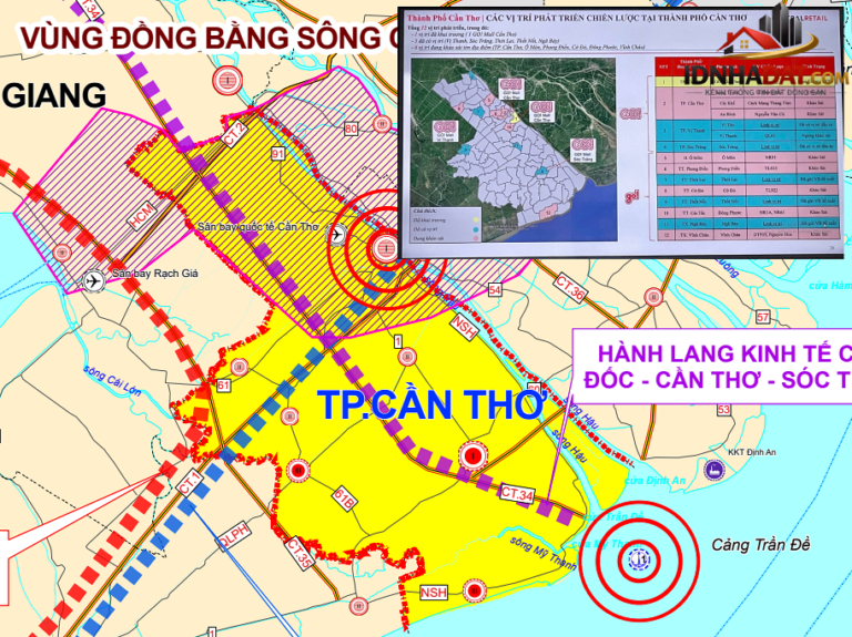 Cần Thơ và Xu Hướng Mở Rộng Hệ Thống Siêu Thị Năm 2026