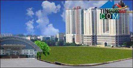 Bán căn hộ chung cư Đường Lê Đại Hành – Phường cũ 15 Quận 11 – Thành phố Hồ Chí Minh – 220 m² – 14 tỷ