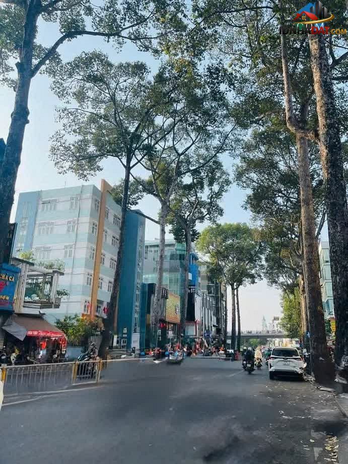 Nội Thất Gỗ Cao Cấp – Nhà Đẹp Nguyễn Tri Phương Q10 – 5.27 Tỷ – Diện tích 27m² – Bán nhà đất Đường Nguyễn Tri Phương – Phường cũ Không xác định Quận 10 – Thành phố Hồ Chí Minh