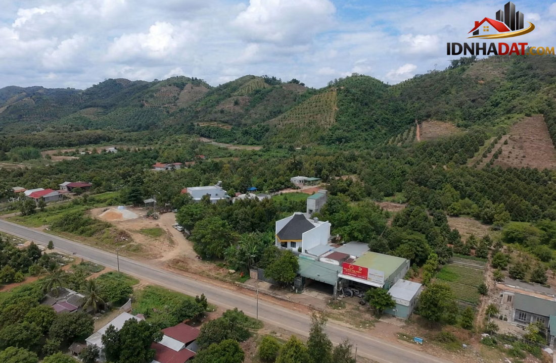 Xu hướng Kiến trúc hồi hương: Ngôi nhà nông thôn Lâm Đồng níu chân người thành thị- Ảnh 2.