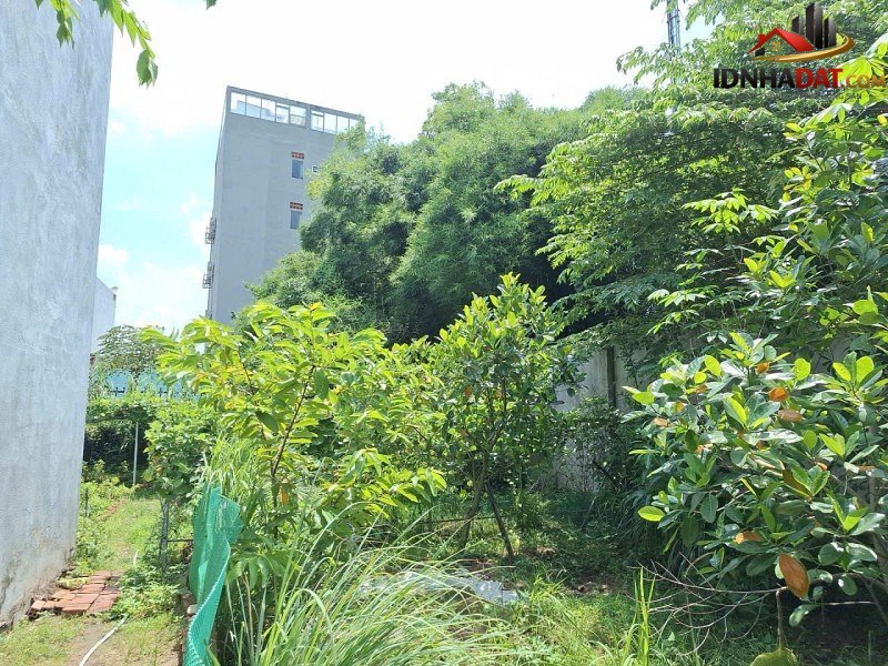 Bán gấp nhà vườn Đường 182 – Phường cũ Tăng Nhơn Phú A Quận 9 – Phường mới Tăng Nhơn Phú A – Thành phố Hồ Chí Minh 660m2 18.3 tỷ