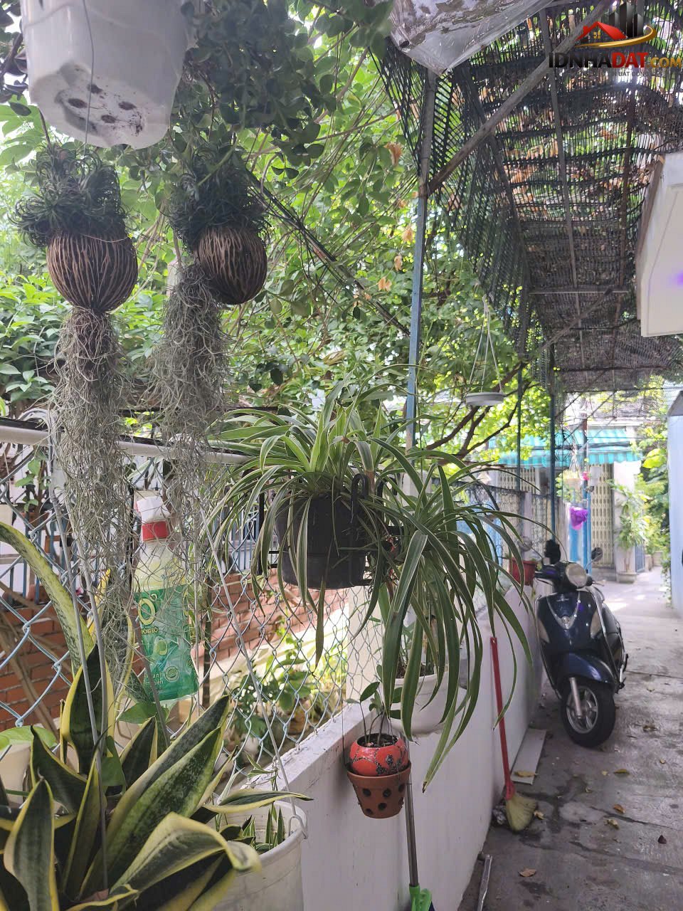 Bán nhà đất Đường Nguyễn Hoàng – Phường cũ Bình Hiên Quận Hải Châu – Phường mới Không xác định – Thành phố Đà Nẵng 35m2 2.89 tỷ