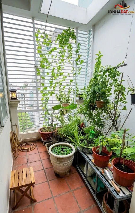 Bán nhà đất Đường Cách Mạng Tháng Tám – Phường cũ 10 Quận 10 – Phường mới Nhiêu Lộc – Thành phố Hồ Chí Minh 48 m2 7.9 tỷ